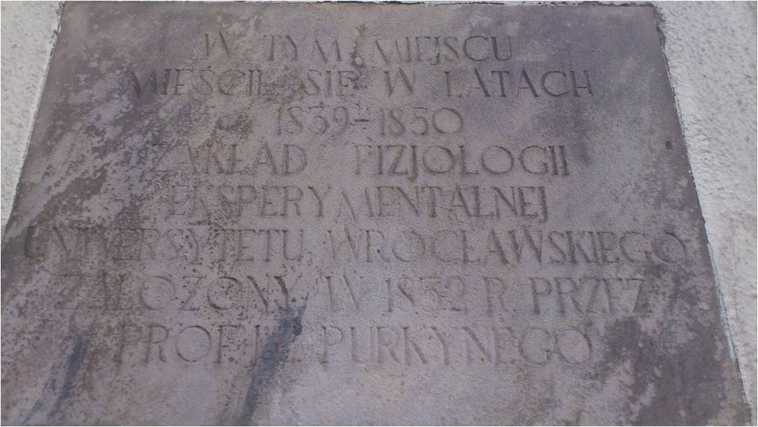 Purkyně old Institute of Physiology's memorial tablet, Wroclaw (by Magdalena Mazurak).jpg